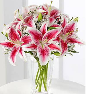 想念-10枝粉百合