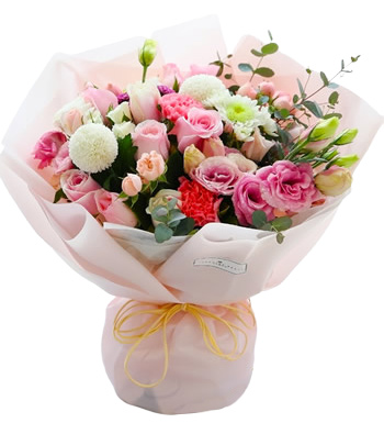 甜美笑容-戴安娜  粉康