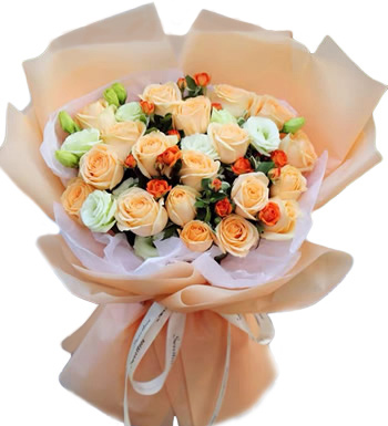 锦上添花-香槟玫瑰