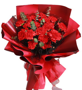 浓浓母爱-19枝红色康乃馨