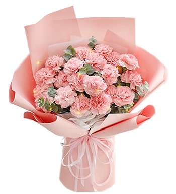 祝妈妈母亲节快乐-粉色康乃馨