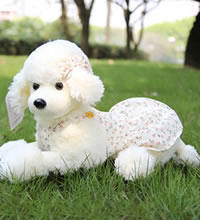 贵宾犬 可爱穿衣狗狗 - 70cm