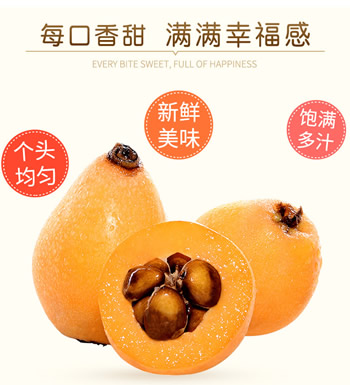 云南枇杷果-5斤 新鲜采摘 坏果包赔