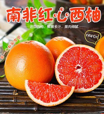 南非进口红心西柚-酸甜爽口 精品大果（5斤装）