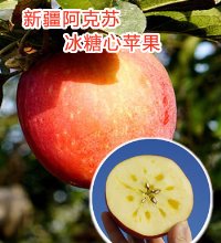 阿克苏冰糖心苹果 - 产地直供 精选大果