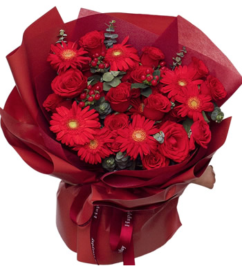 父亲节快乐-红玫瑰 红色非洲菊
