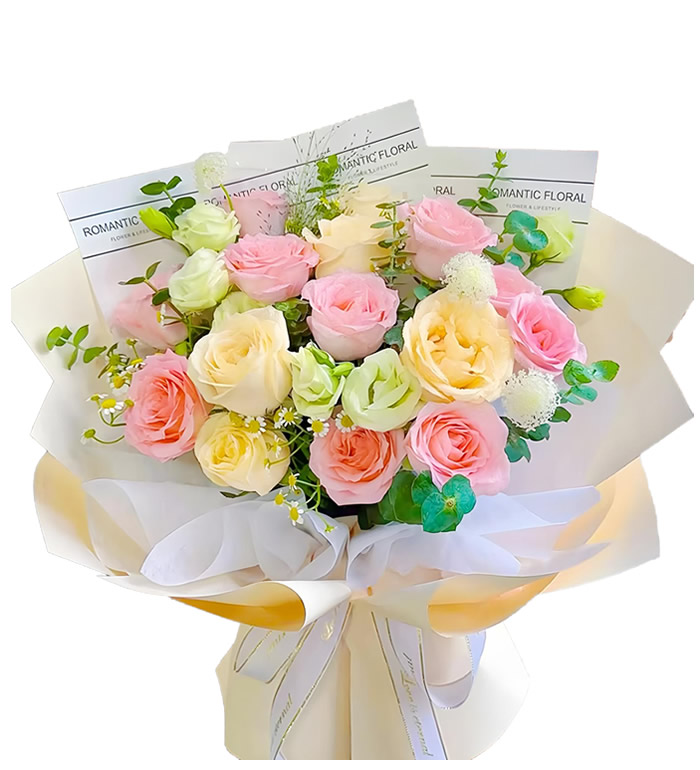 岁月静好-粉玫瑰 香槟玫瑰