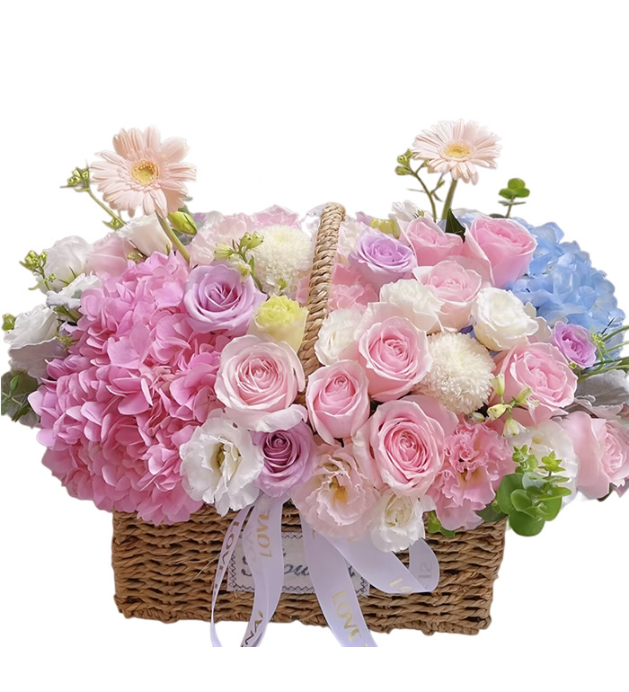 温暖如初-各色玫瑰 绣球