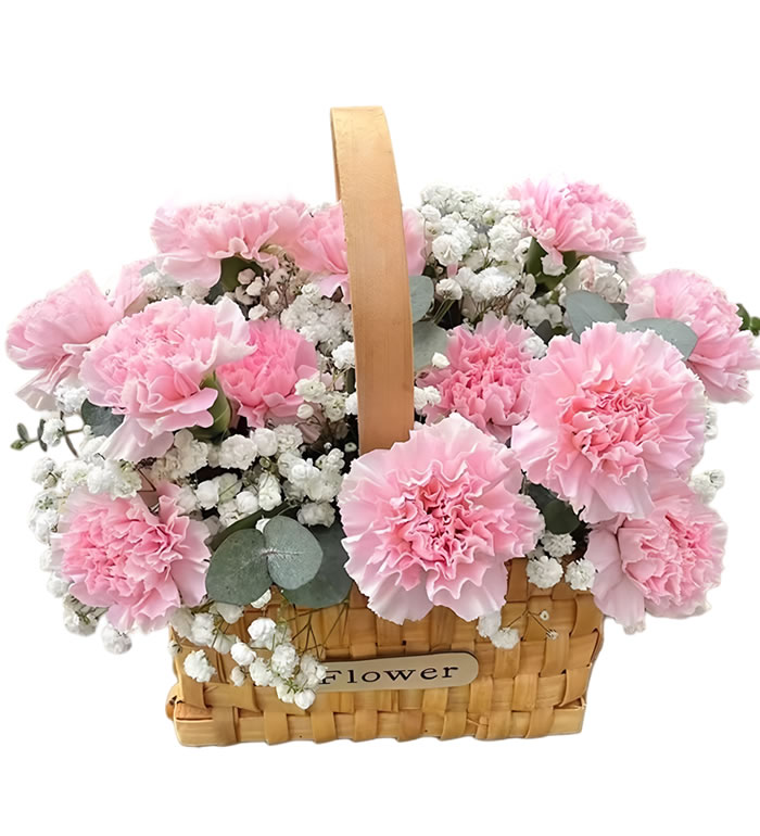 以爱之名-粉色康乃馨迷你小花篮
