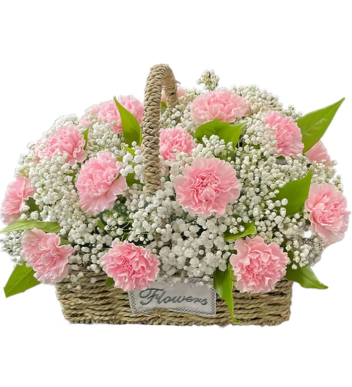满满的爱意-粉色康乃馨花篮