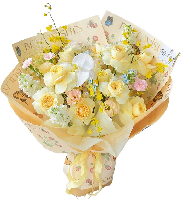 落日晚风-香槟玫瑰 紫罗兰