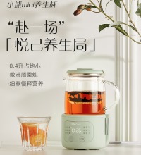 小熊（Bear）迷你养生杯 - 0.4L全玻璃杯体