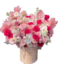 绚丽多彩 - 玫瑰蝴蝶兰抱抱花筒