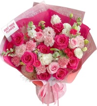 春风十里 - 粉玫瑰 粉康