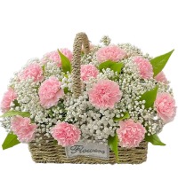 满满的爱意 - 粉色康乃馨花篮